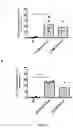 Fig. 24 - Combination of an immune checkpoint modulator and a complex comprising a cell penetrating peptide, a cargo and a TLR peptide agonist for use in medicine