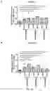 Fig. 27 - Combination of an immune checkpoint modulator and a complex comprising a cell penetrating peptide, a cargo and a TLR peptide agonist for use in medicine