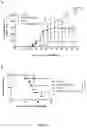 Fig. 38 - Combination of an immune checkpoint modulator and a complex comprising a cell penetrating peptide, a cargo and a TLR peptide agonist for use in medicine