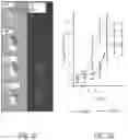 Fig. 18 - Methods of treatment using ultrasmall nanoparticles to induce cell death of nutrient-deprived cancer cells via ferroptosis