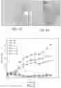 Fig. 26 - Methods of treatment using ultrasmall nanoparticles to induce cell death of nutrient-deprived cancer cells via ferroptosis
