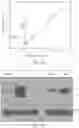 Fig. 32 - Methods of treatment using ultrasmall nanoparticles to induce cell death of nutrient-deprived cancer cells via ferroptosis