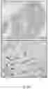 Fig. 44 - Methods of treatment using ultrasmall nanoparticles to induce cell death of nutrient-deprived cancer cells via ferroptosis