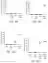 Fig. 47 - Methods of treatment using ultrasmall nanoparticles to induce cell death of nutrient-deprived cancer cells via ferroptosis