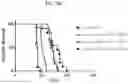 Fig. 10 - COMPOSITIONS USEFUL IN TREATMENT OF KRABBE DISEASE