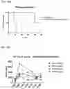 Fig. 25 - COMPOSITIONS USEFUL IN TREATMENT OF KRABBE DISEASE