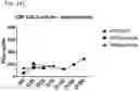 Fig. 26 - COMPOSITIONS USEFUL IN TREATMENT OF KRABBE DISEASE