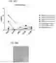 Fig. 32 - COMPOSITIONS USEFUL IN TREATMENT OF KRABBE DISEASE