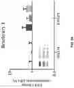 Fig. 07 - COMPOSITIONS AND METHODS FOR REPROGRAMMING DISEASED MUSCULOSKELETAL CELLS
