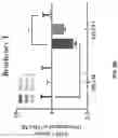 Fig. 08 - COMPOSITIONS AND METHODS FOR REPROGRAMMING DISEASED MUSCULOSKELETAL CELLS