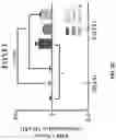 Fig. 09 - COMPOSITIONS AND METHODS FOR REPROGRAMMING DISEASED MUSCULOSKELETAL CELLS