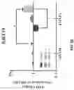 Fig. 10 - COMPOSITIONS AND METHODS FOR REPROGRAMMING DISEASED MUSCULOSKELETAL CELLS