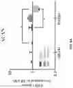 Fig. 11 - COMPOSITIONS AND METHODS FOR REPROGRAMMING DISEASED MUSCULOSKELETAL CELLS