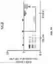 Fig. 13 - COMPOSITIONS AND METHODS FOR REPROGRAMMING DISEASED MUSCULOSKELETAL CELLS