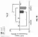Fig. 14 - COMPOSITIONS AND METHODS FOR REPROGRAMMING DISEASED MUSCULOSKELETAL CELLS