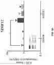Fig. 18 - COMPOSITIONS AND METHODS FOR REPROGRAMMING DISEASED MUSCULOSKELETAL CELLS