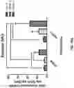 Fig. 22 - COMPOSITIONS AND METHODS FOR REPROGRAMMING DISEASED MUSCULOSKELETAL CELLS