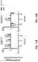 Fig. 24 - COMPOSITIONS AND METHODS FOR REPROGRAMMING DISEASED MUSCULOSKELETAL CELLS