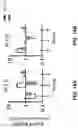 Fig. 27 - COMPOSITIONS AND METHODS FOR REPROGRAMMING DISEASED MUSCULOSKELETAL CELLS