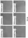 Fig. 32 - COMPOSITIONS AND METHODS FOR REPROGRAMMING DISEASED MUSCULOSKELETAL CELLS