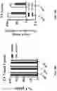 Fig. 33 - COMPOSITIONS AND METHODS FOR REPROGRAMMING DISEASED MUSCULOSKELETAL CELLS