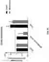 Fig. 34 - COMPOSITIONS AND METHODS FOR REPROGRAMMING DISEASED MUSCULOSKELETAL CELLS