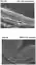 Fig. 13 - Methods and Compositions for Treatment of Disorders and Diseases Involving RDH12