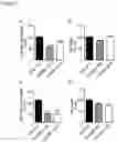 Fig. 04 - Compositions and systems comprising transfection-competent vesicles free of organic-solvents and detergents and methods related thereto