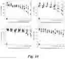 Fig. 11 - ADHESIVE/ADSORPTION SWITCH ON NANOPARTICLES TO INCREASE TUMOR UPTAKE AND DELAY TUMOR CLEARANCE