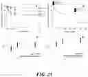 Fig. 24 - ADHESIVE/ADSORPTION SWITCH ON NANOPARTICLES TO INCREASE TUMOR UPTAKE AND DELAY TUMOR CLEARANCE
