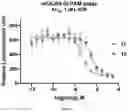 Fig. 06 - MODULATORS OF METABOTROPIC GLUTAMATE RECEPTOR 4