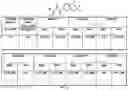 Fig. 07 - MODULATORS OF METABOTROPIC GLUTAMATE RECEPTOR 4