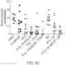Fig. 06 - COMBINATION CANCER IMMUNOTHERAPY WITH PENTAAZA MACROCYCLIC RING COMPLEX