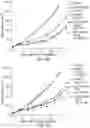 Fig. 08 - COMBINATION CANCER IMMUNOTHERAPY WITH PENTAAZA MACROCYCLIC RING COMPLEX