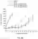 Fig. 09 - COMBINATION CANCER IMMUNOTHERAPY WITH PENTAAZA MACROCYCLIC RING COMPLEX