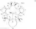 Fig. 101 - COMBINATION CANCER IMMUNOTHERAPY WITH PENTAAZA MACROCYCLIC RING COMPLEX