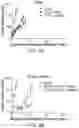 Fig. 12 - COMBINATION CANCER IMMUNOTHERAPY WITH PENTAAZA MACROCYCLIC RING COMPLEX