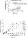 Fig. 14 - COMBINATION CANCER IMMUNOTHERAPY WITH PENTAAZA MACROCYCLIC RING COMPLEX