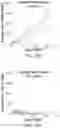 Fig. 16 - COMBINATION CANCER IMMUNOTHERAPY WITH PENTAAZA MACROCYCLIC RING COMPLEX