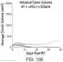 Fig. 17 - COMBINATION CANCER IMMUNOTHERAPY WITH PENTAAZA MACROCYCLIC RING COMPLEX