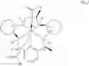 Fig. 19 - COMBINATION CANCER IMMUNOTHERAPY WITH PENTAAZA MACROCYCLIC RING COMPLEX