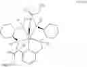 Fig. 21 - COMBINATION CANCER IMMUNOTHERAPY WITH PENTAAZA MACROCYCLIC RING COMPLEX