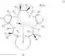 Fig. 26 - COMBINATION CANCER IMMUNOTHERAPY WITH PENTAAZA MACROCYCLIC RING COMPLEX