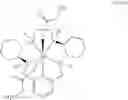 Fig. 37 - COMBINATION CANCER IMMUNOTHERAPY WITH PENTAAZA MACROCYCLIC RING COMPLEX