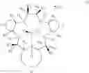 Fig. 38 - COMBINATION CANCER IMMUNOTHERAPY WITH PENTAAZA MACROCYCLIC RING COMPLEX