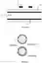 Fig. 11 - DEVICE TO PREVENT CATHETER ASSOCIATED URINARY TRACT INFECTION