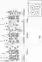Fig. 02 - Formed three-dimensional matrix and associated coating providing modulated release of volatile compositions