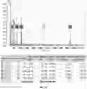 Fig. 14 - MULTI-FUNCTIONAL PLASMA DRIVEN CATALYST SYSTEM