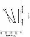 Fig. 10 - METHOD FOR BONE HEALING OR TREATMENT OF BONE FRACTURE