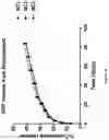 Fig. 16 - METHOD FOR BONE HEALING OR TREATMENT OF BONE FRACTURE